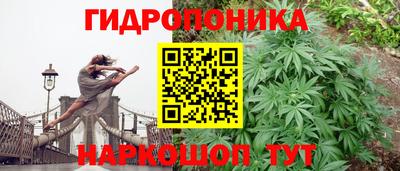 индика Нальчик