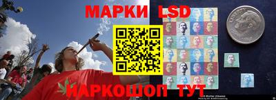 спайс Моздок