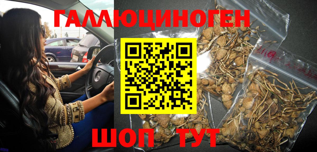 Галлюциногенные грибы мицелий Алапаевск